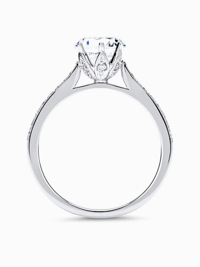 Image-#7.2 Image #7.2